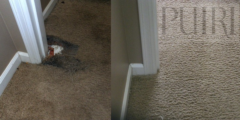 PUIRI Cleaning & Restoration Image